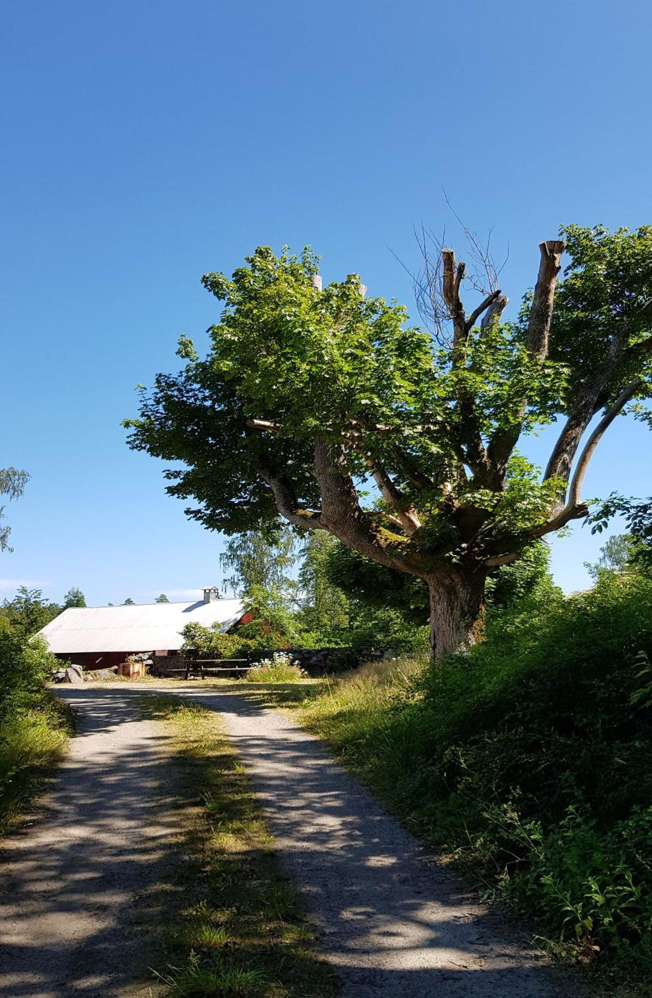 Stroenhult Farmhouse By The Lake Stronhult Dış mekan fotoğraf